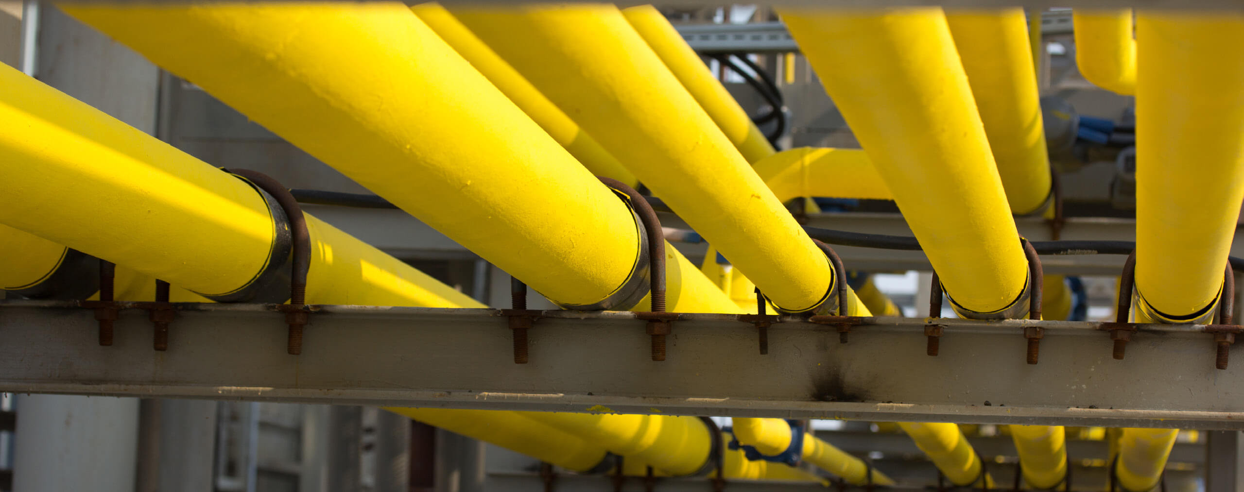 9001cc金沙以诚为本(中国)有限公司官网