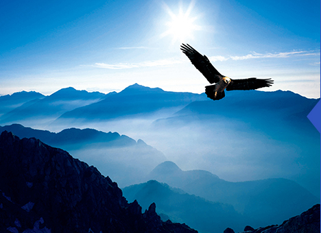 9001cc金沙以诚为本(中国)有限公司官网